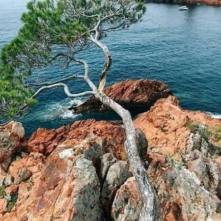 Studio 4 Personnes Studio 4/5 Personnes Avec Vue - Cap Esterel, Cote D'azur.